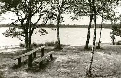 14241 Het Groot Meer: picknickplaats bij ven, 18-06-1964
