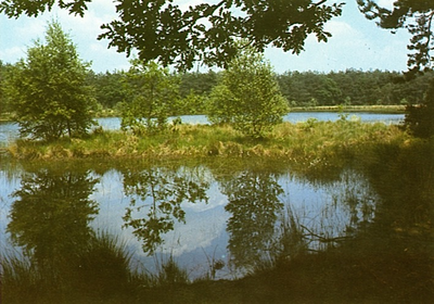 14246 Natuurlandschap: ven, 1975 - 1985
