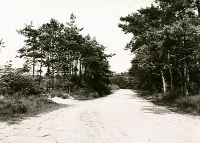 14288 Natuurgebied Vlasroot, 24-06-1966