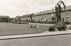 14312 Klaverplein, gezien vanaf de 'Ceciliastraat', 23-06-1958