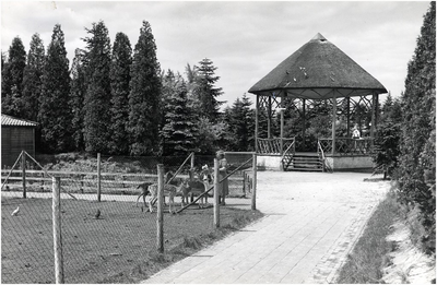 14315 Hertenkamp en kiosk van recreatiepark 't Witven, Runstraat, 23-06-1958