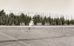 14341 Tennisen op tennisbaan 't Witven, 1960