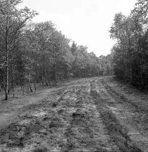 135427 Het Leenderbos: zandweg, 15-05-1957