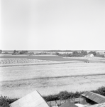 135456 Panorama, met op de achtergrond korenschoven, 1950 - 1965