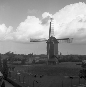 135895 Standerd molen, Dorpsstraat 147, 1956 - 1968