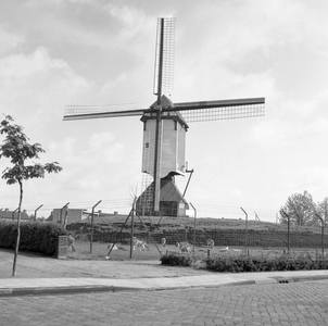 135995 Standerd molen, Dorpsstraat 147, 1956 - 1968