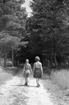 136090 Serie van 17 foto's betreffende Gidsen die op kamp zijn. Twee gidsen wandelen door het bos, 16-06-1966