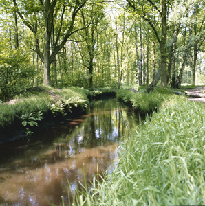 136235 Natuurgebied De Berken: De meanderende Astense Aa, 1978