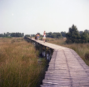 136239 Nationaal Park De Grote Peel: het wandelen over een van de knuppelbruggen, 1970 - 1980