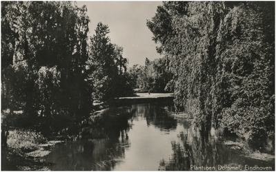 193617 Elzentpark: de Dommel, 1946 - 1950