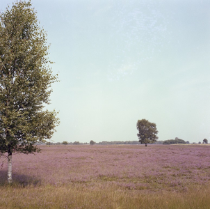 225444 De Strabrechtse Heide, 1970 - 1990