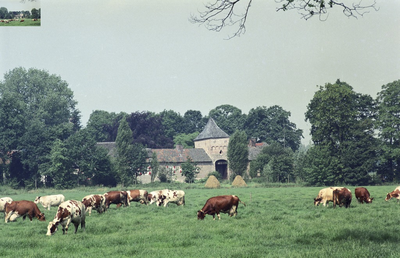 226092 Kasteelwoningen -poort en -boerderij, Kasteellaan 1 t/m 10. Op de voorgrond koeien in de wei, 1980 - 1990