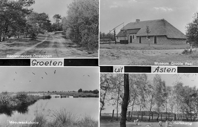 226758 Collage van 4 foto's waarop: (1)Recreatieoord Oostappen; (2) Museum Groote Peel; (3) Meeuwenkolonie; (4) ...