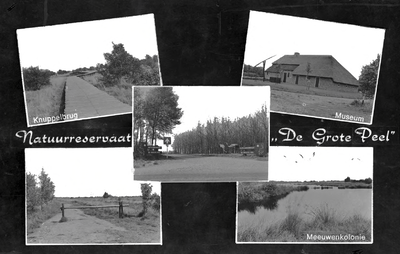 226778 Collage van vijf foto's van Natuurreservaat De grote Peel waarop: 1 Knuppelbrug door natuurgebied; 2.Museum met ...
