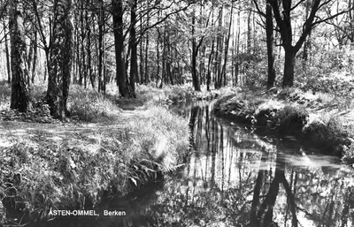 226788 De Berken, meanderende rivier De Aa, 1950 - 1965