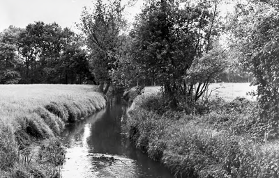 226876 Kapellerput: riviertje, 1974