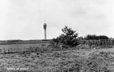 226914 Agrarische omgeving: weiland en akkerbouw. Op de achtergrond de TV-toren aan de Geldropseweg 28, 1960 - 1970