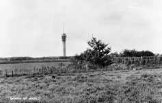 226914 Agrarische omgeving: weiland en akkerbouw. Op de achtergrond de TV-toren aan de Geldropseweg 28, 1960 - 1970