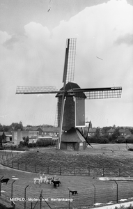 226921 Standerd molen, Dorpsstraat 147, 1956 - 1968