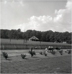 227291 Jan Visserpark, Warande, Hertenkamp, 1960
