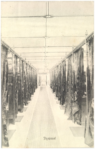 16688 De slaapzaal van pensionaat Eikenburg, 1900 - 1910