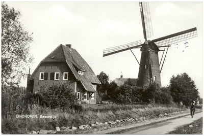 16763 Boschdijk, Molen Annemie op nr. 1006, 1950 - 1970