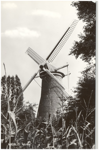 17074 Elderse of Ellenaarse molen, Geldropseweg 1, 1940 - 1960