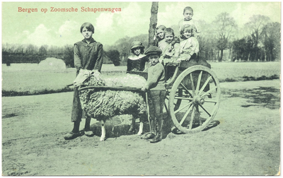 17414 Schapenwagen met ingespannen schaap, 1890 - 1920