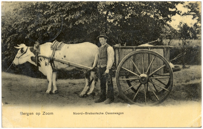17416 Het vervoeren met de ossenkar, 1900 - 1920