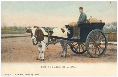 17418 Het rijden met de ossenkar door de boer, 1900 - 1920