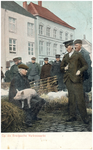 17447 Het handelen in varkens op de varkenmarkt, 1890 - 1904