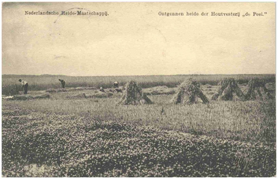 17663 Het maaien van koren en het binden tot korenschoven, 1900 - 1920
