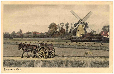 17815 Agrarische omgeving : paard met hoogkar en een molen, 1910 - 1930