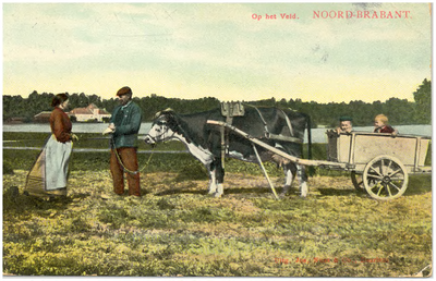 17878 Het vervoeren van kinderen met een koeien - kar, 1890 - 1920