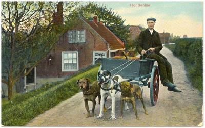 17880 Het rijden met een hondenkar door melkhandelaar Willem Langrak op de Noordendijk, 1903 - 1908