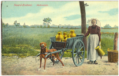 17883 Het vervoeren van melkbussen met de hondenkar, 1890 - 1910