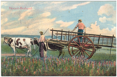 17890 Het rijden met een ossenwagen, 1900 - 1920
