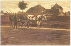 17895 Het halen van de oogst van het land met een koe ingespannen voor een kar, 1900 - 1920