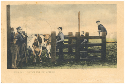 17927 Het halen van de koeien uit de schutskooi door de boeren familie, 1900 - 1903