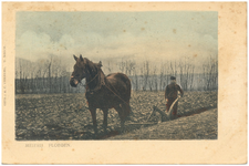 17929 Het ploegen van de akker. De boer stuurt het paard recht door de voor, 1900 - 1903