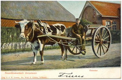 18024 Het rijden met de ossenkar, 1902