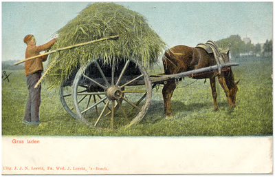 18025 Het laden van gras op de hoogkar, 1895 - 1902