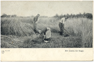 18146 Het maaien en binden van rogge, 1910 - 1930