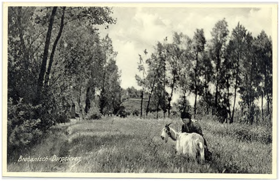 18148 Het verzorgen van de geit op het land, 1900 - 1920