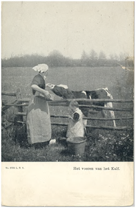 18153 Het voeren van het kalf in de wei door de boerin met haar dochter, 1910 - 1930