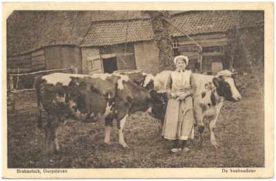18161 Het weiden van de koeien op een erf, door de boerin, 1900 - 1917
