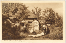 18177 Huishoudelijke hygiëne: het bleken van de was op den bleek. Mogelijk te Hapert, 1910 - 1924