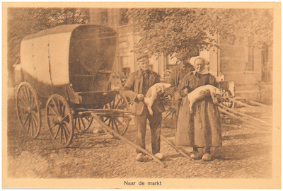 18187 Een boer en boerin met ieder een big in de armen, voor een huifkar en vermoedelijk op een markt, 1900 - 1920