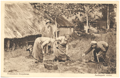 18195 Het rooien van aardappelen, 1910 - 1920