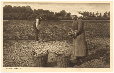 18196 Het rooien van aardappelen door boer en boerin, 1910 - 1920